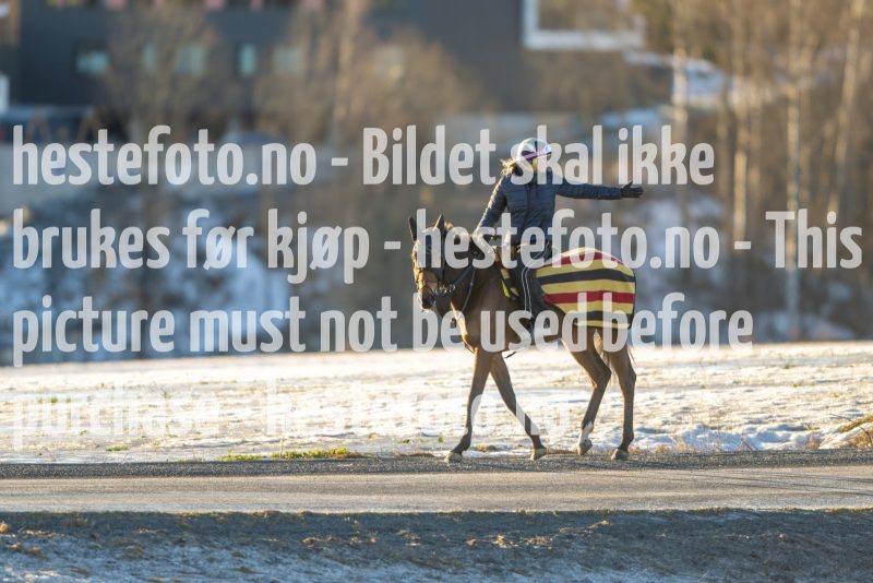 20230218-102040-DSC_8467