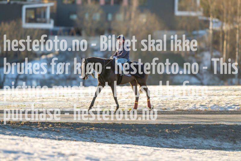 20230218-102036-DSC_8451