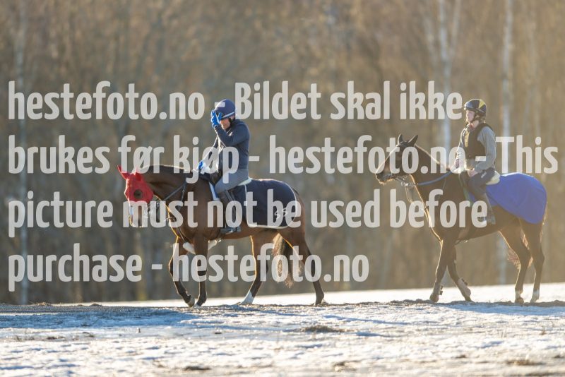 20230218-102114-DSC_8597