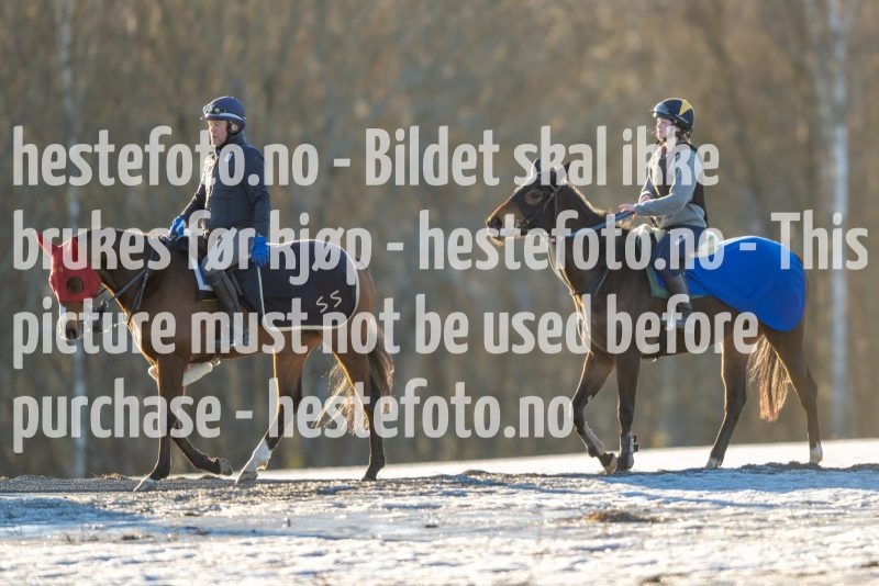 20230218-102115-DSC_8603