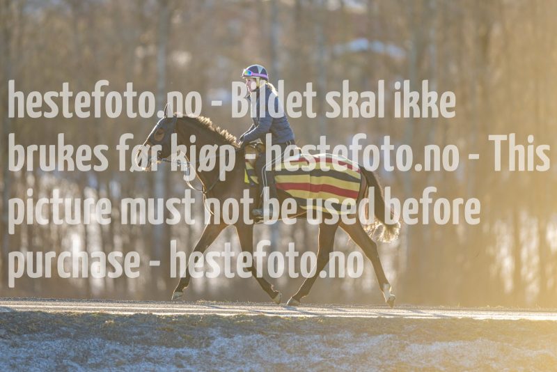 20230218-102121-DSC_8626