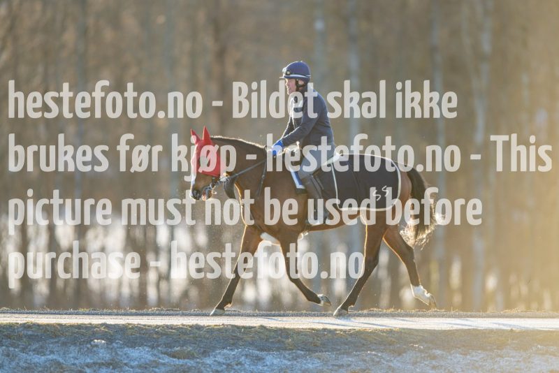 20230218-102123-DSC_8635