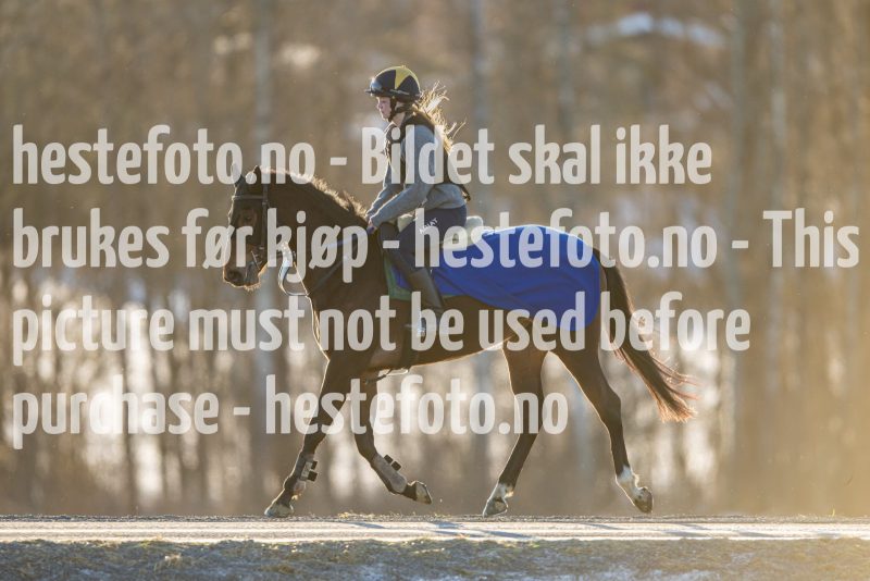 20230218-102127-DSC_8661