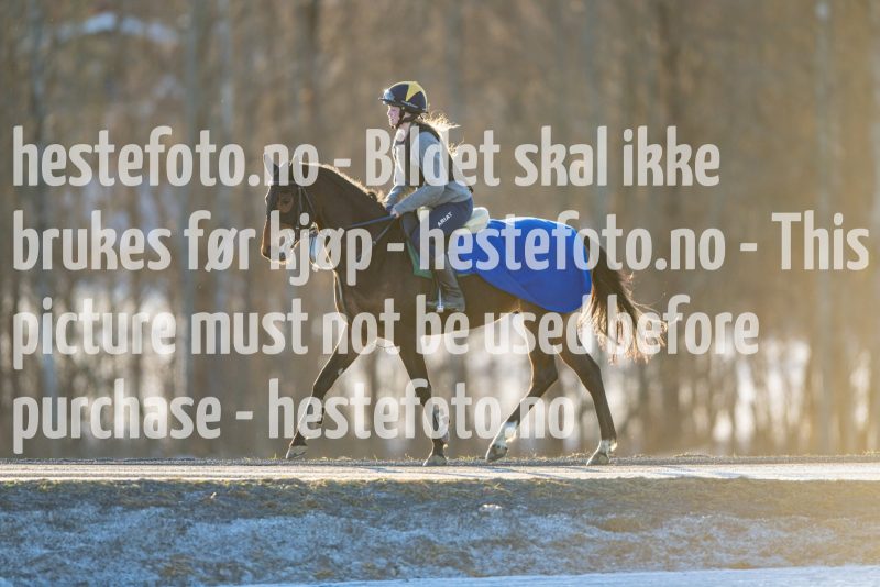 20230218-102126-DSC_8655