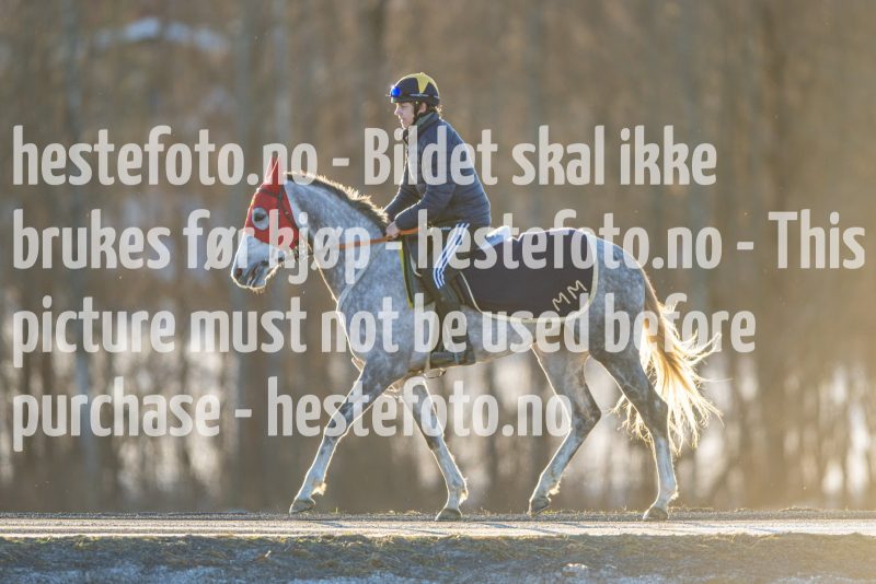 20230218-102128-DSC_8670