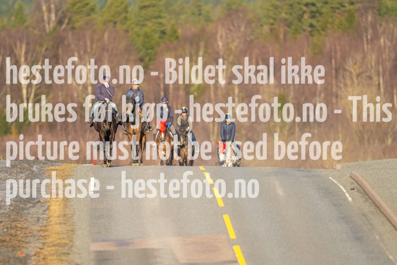 20230218-102648-DSC_8753