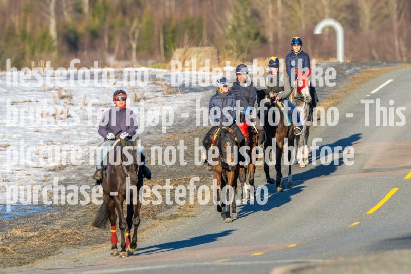 20230218-102736-DSC_8815