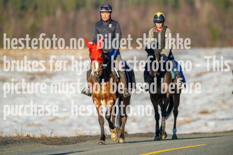20230218-102807-DSC_8985