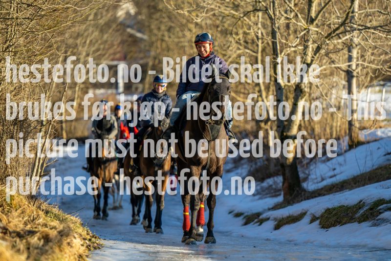 20230218-104100-DSC_9141