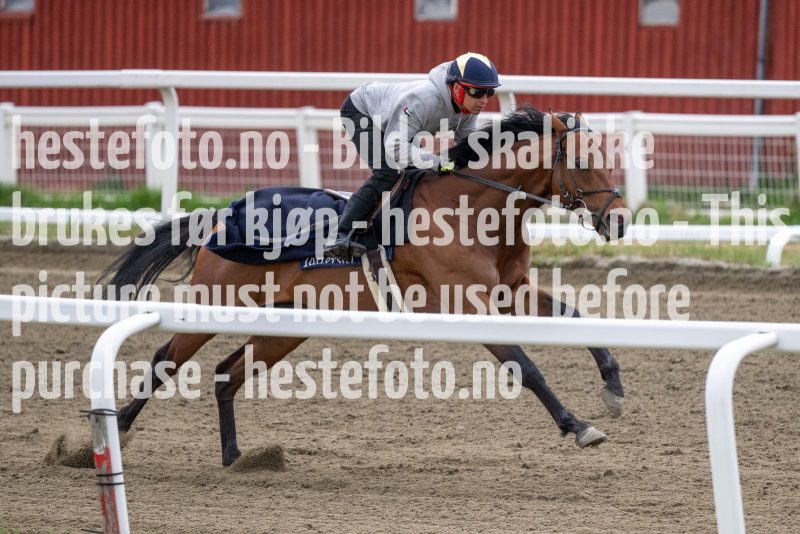 20230513-084300-DSC_8887