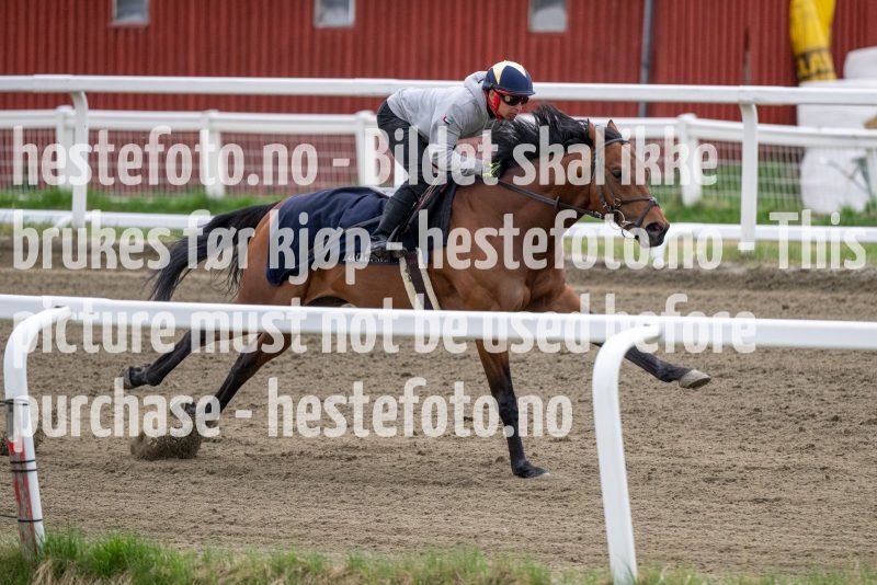20230513-084300-DSC_8888