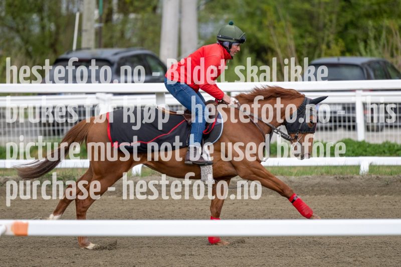 20230513-091758-DSC_9191
