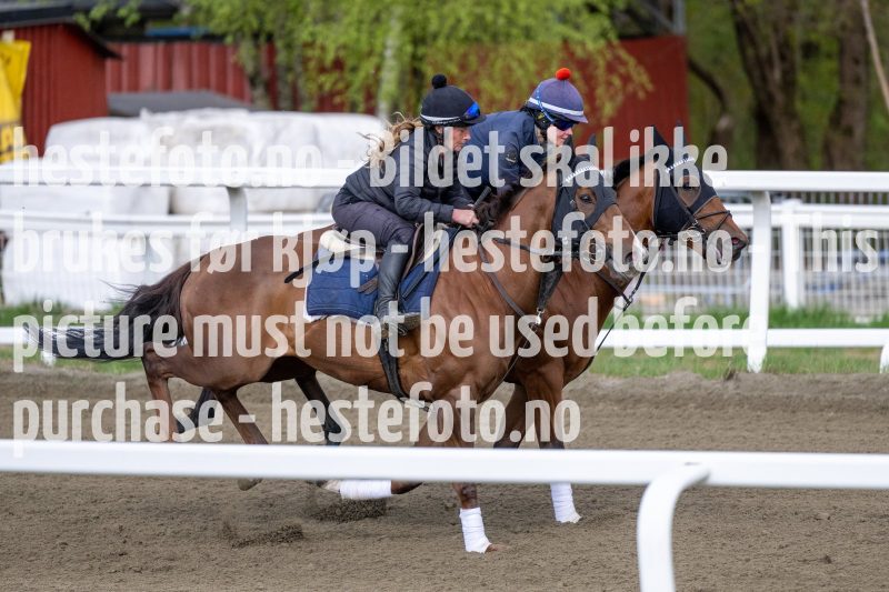 20230513-092243-DSC_9332