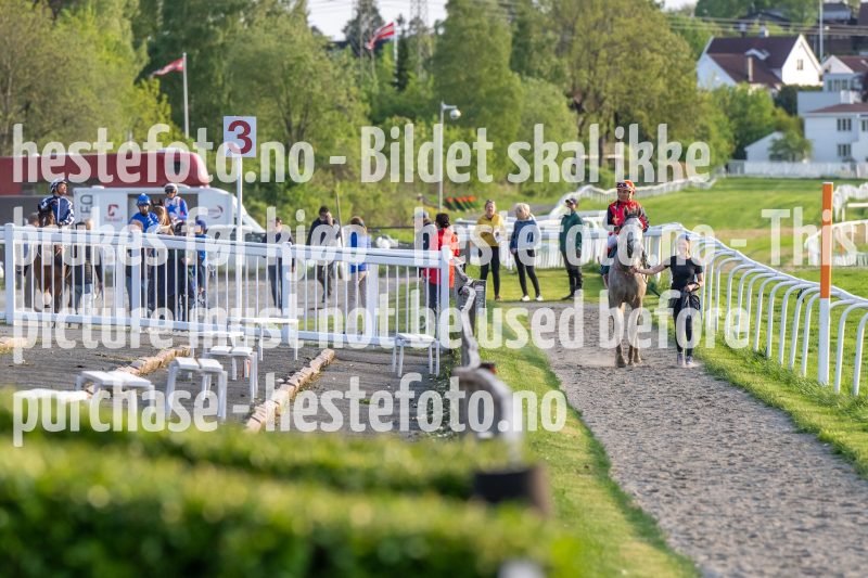 20230525-193854-DSC_0020