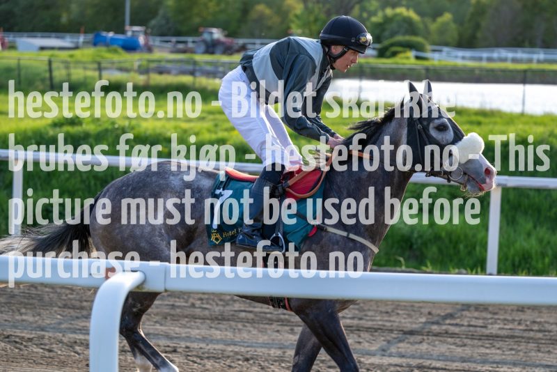 20230525-195220-DSC_0574