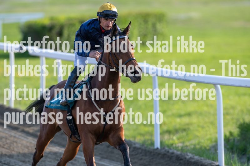 20230525-190127-DSC_7993