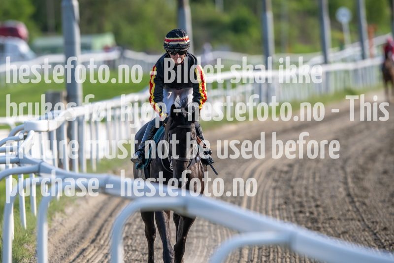 20230525-190136-DSC_8011