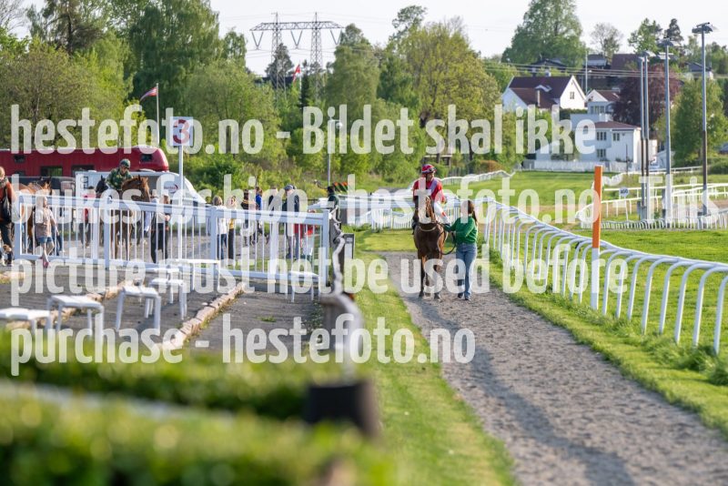 20230525-191238-DSC_8539
