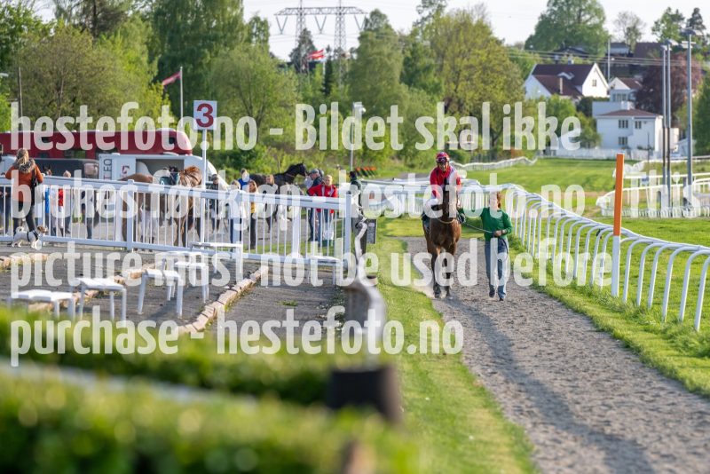 20230525-191243-DSC_8548