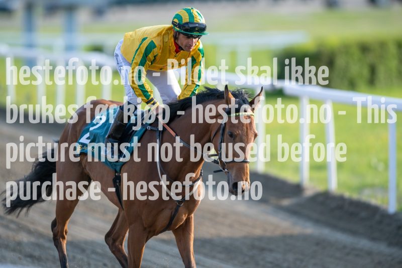 20230525-192818-DSC_9446