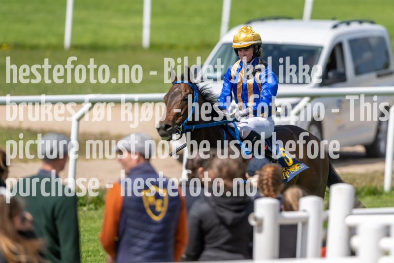 20230528-131552-DSC_1624