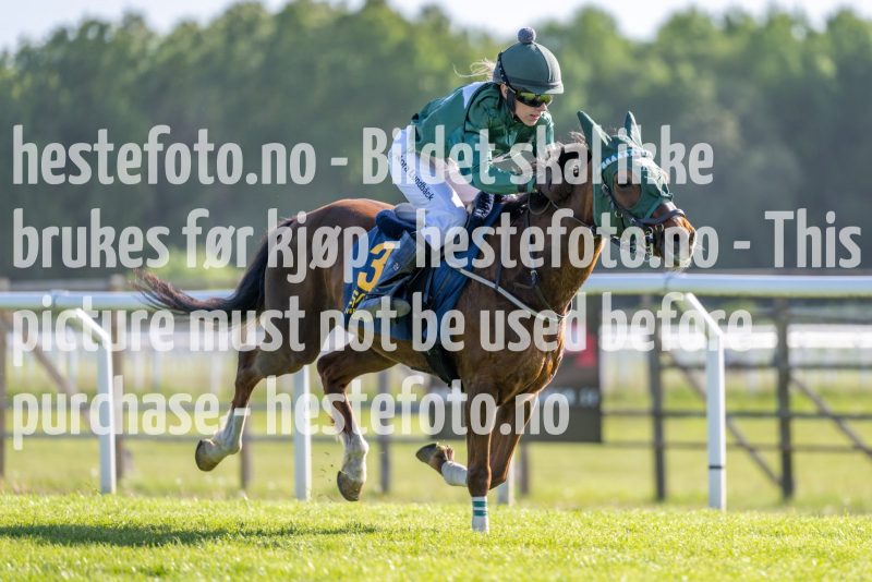 20230528-175416-DSC_5168