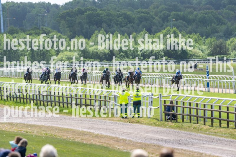 20230528-131401-DSC_1439