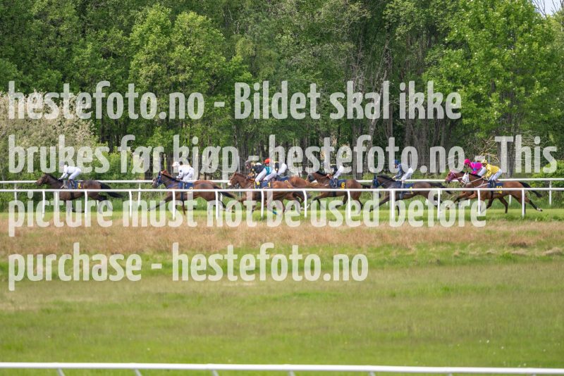 20230528-122051-DSC_9828
