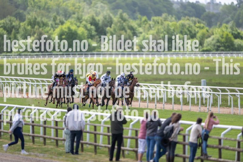 20230528-122012-DSC_9652