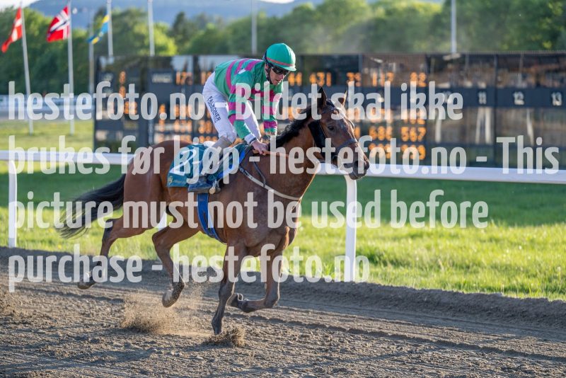 20230601-202249-DSC_8688