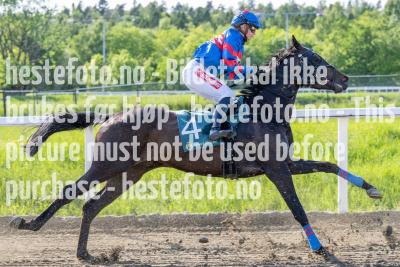 20230601-173111-DSC_5306
