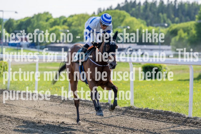 20230601-173236-DSC_5358