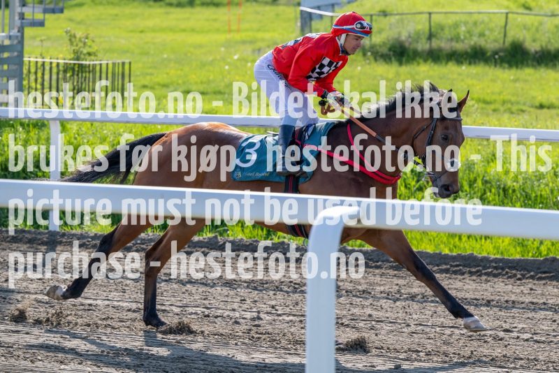 20230601-181246-DSC_6027