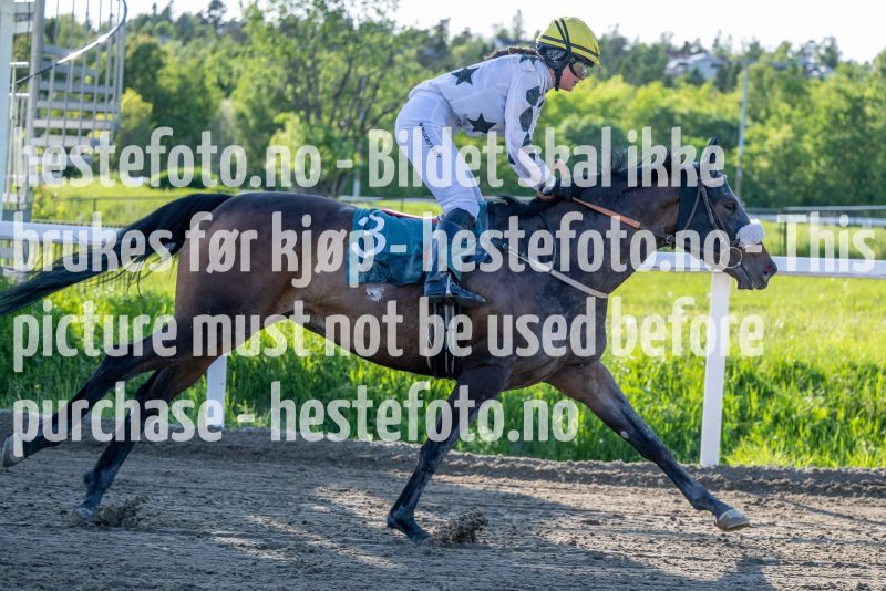 20230601-184312-DSC_6676