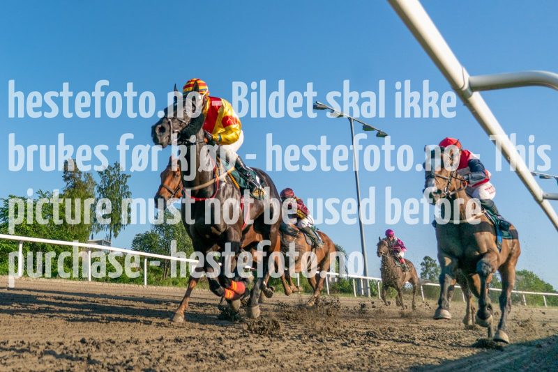 20230608-195916-DSC00300