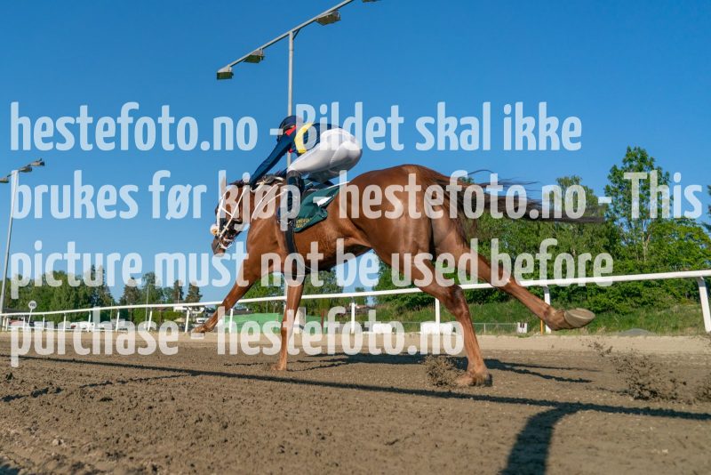 20230608-190822-DSC09499