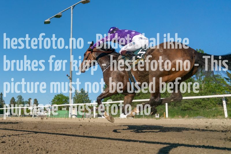 20230608-190822-DSC09503