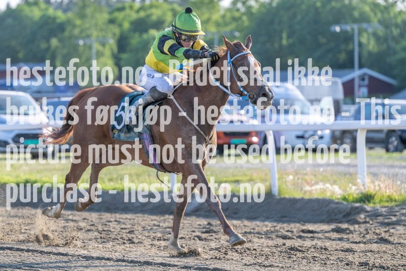 20230608-193320-DSC_1639