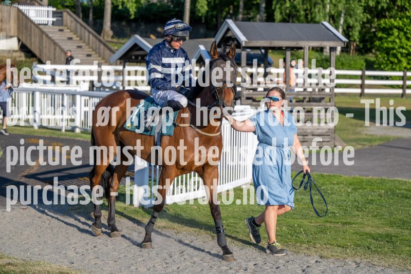 20230608-195125-DSC_2816