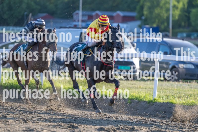 20230608-195916-DSC_3019
