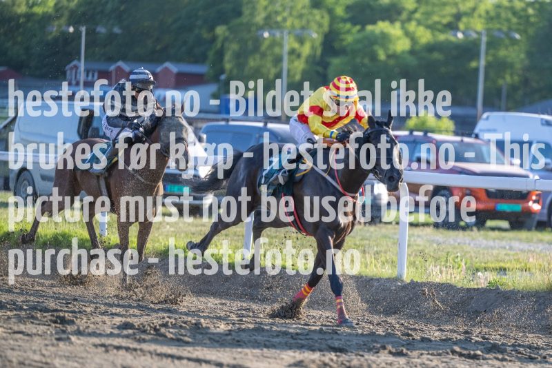 20230608-195916-DSC_3024