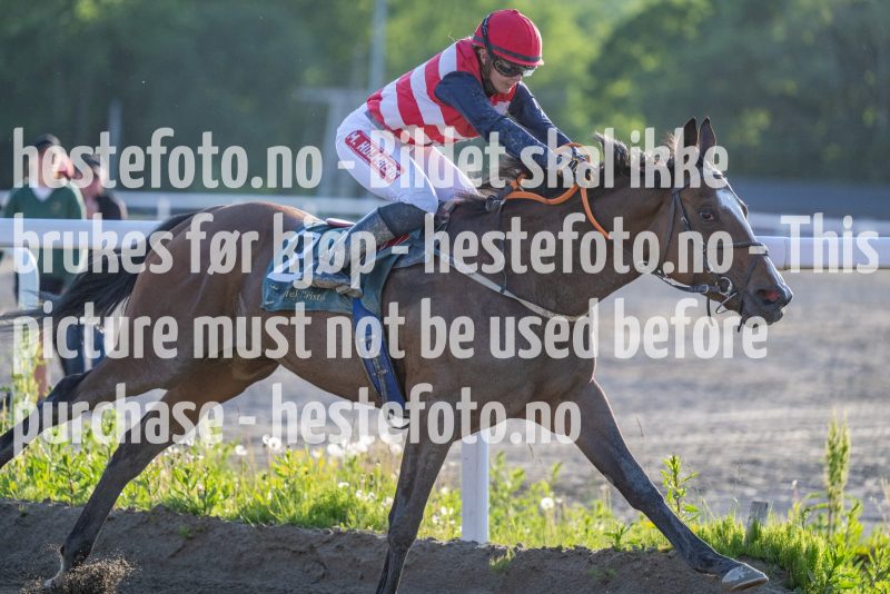 20230608-195916-DSC_3027
