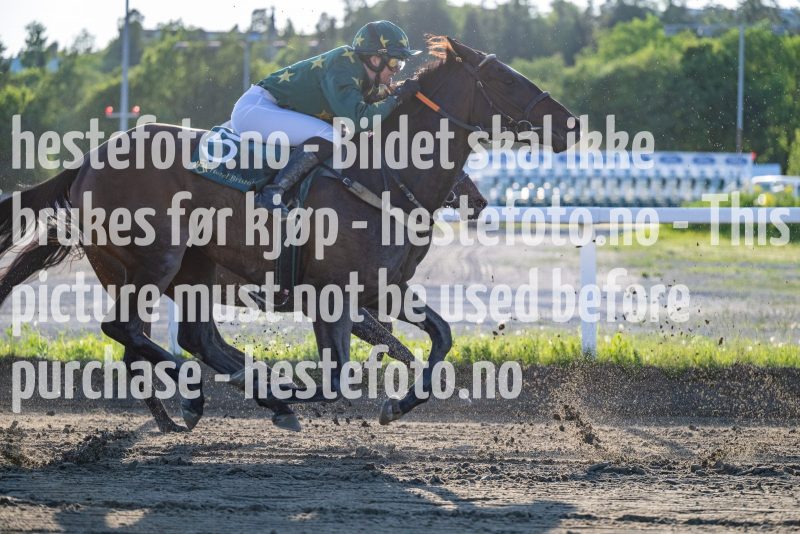 20230608-195918-DSC_3039