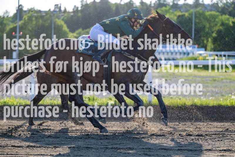 20230608-195918-DSC_3040