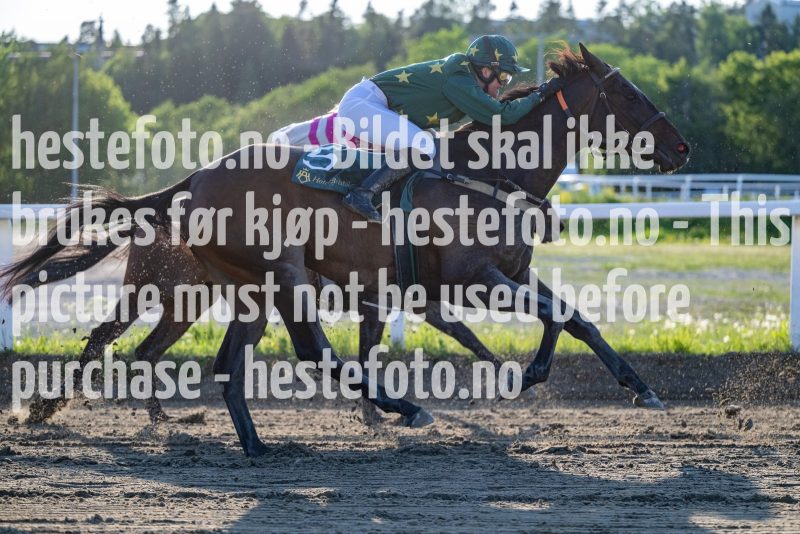20230608-195918-DSC_3041