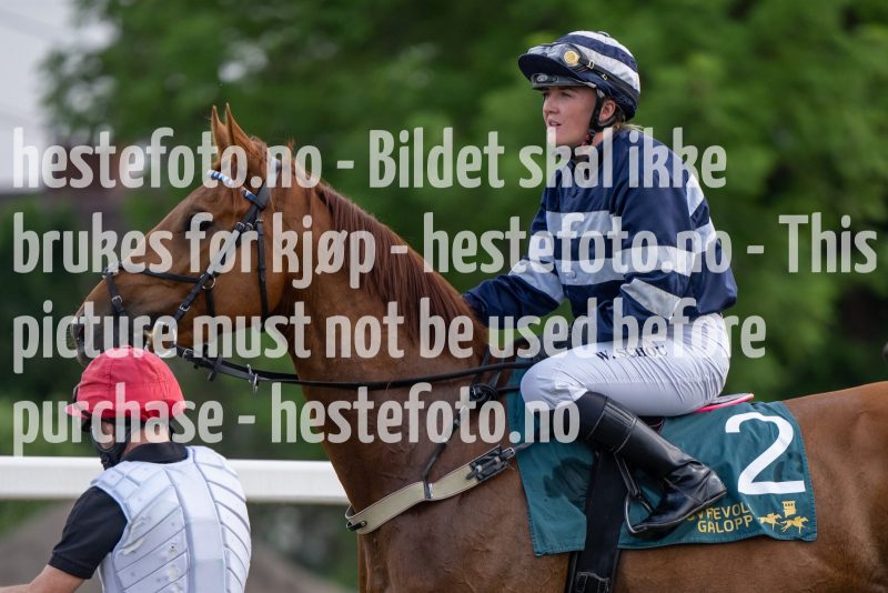 20230615-181440-DSC_5126