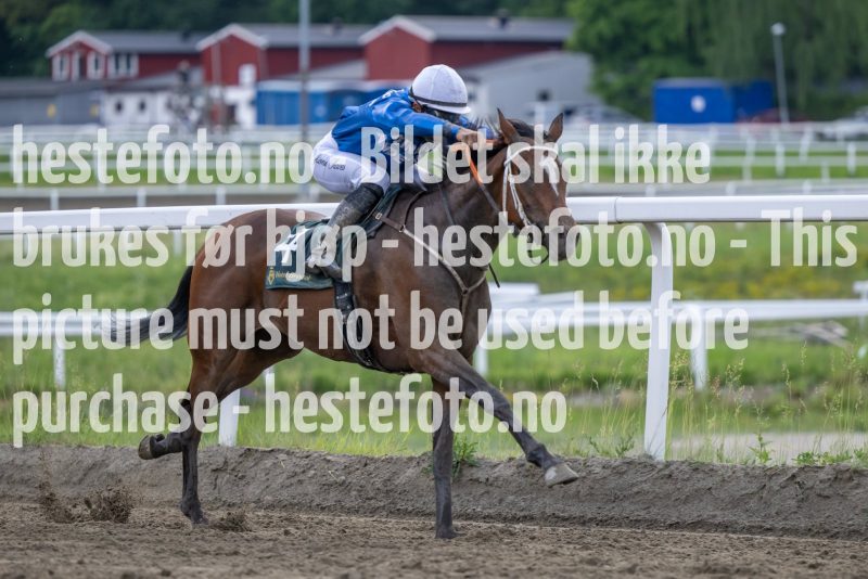 20230615-181750-DSC_5355