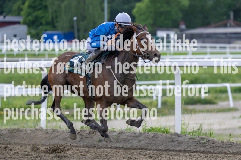 20230615-181751-DSC_5358