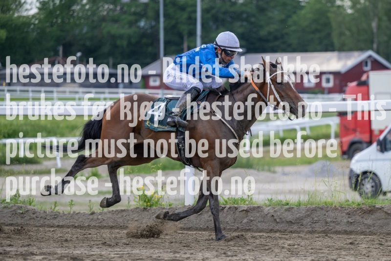 20230615-181751-DSC_5361