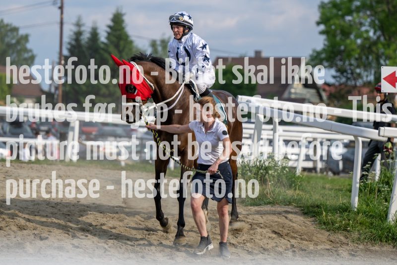 20230615-183650-DSC_5368